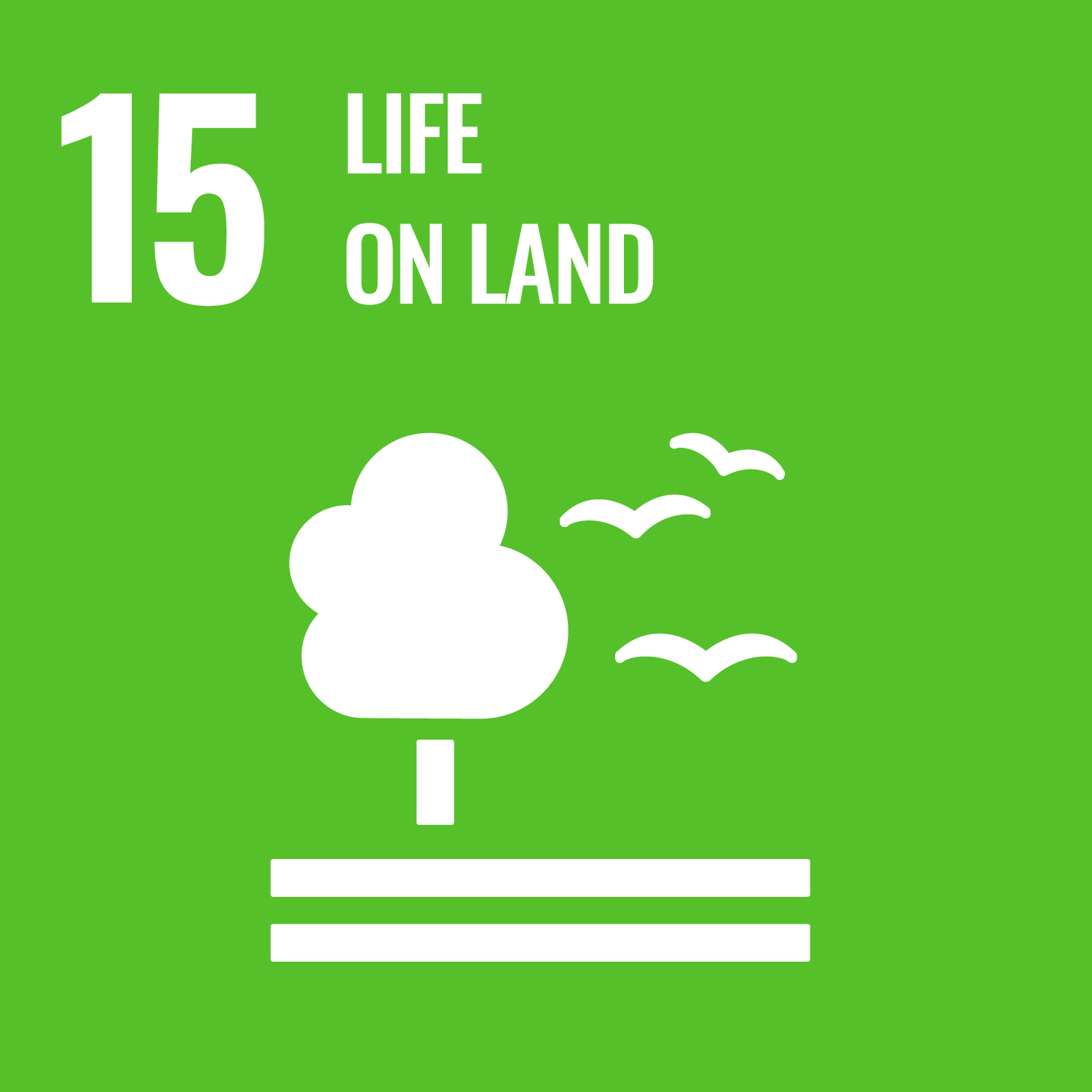 SDG Goal 15 Icon