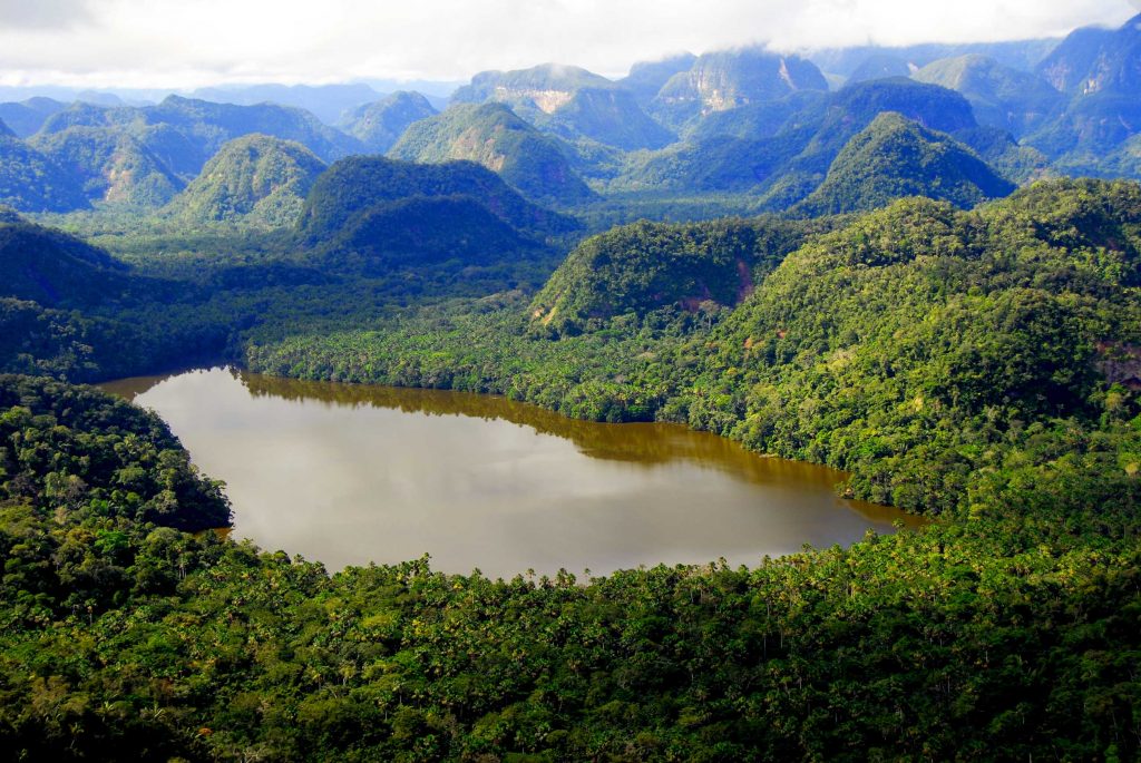 The Cordillera Azul REDD+ forest protection project in Peru